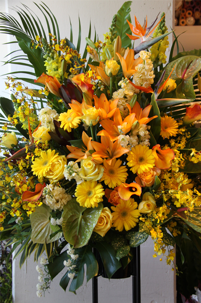 �X�^���h�ԁ@�L����